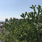 Vente appartement Paris 75020